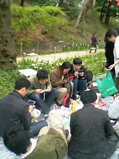 お花見DS