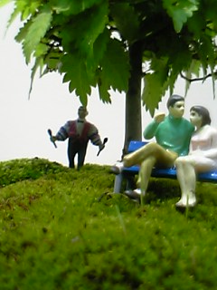manbonsai.jpg