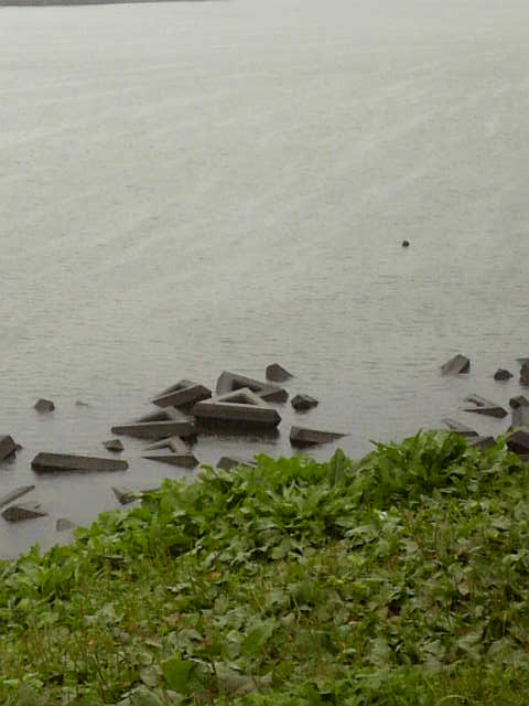 Image006.jpg