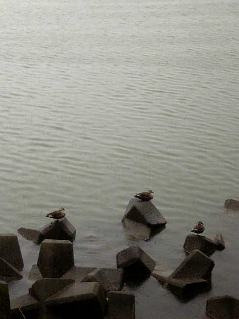 Image007.jpg