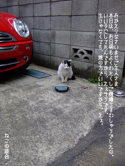 かけひき