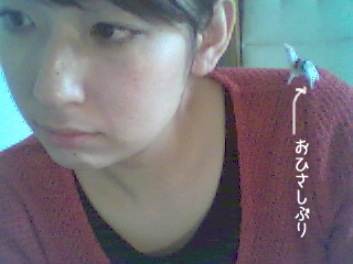 だまりでまどろんで本を読みました