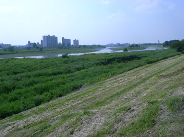 多摩川