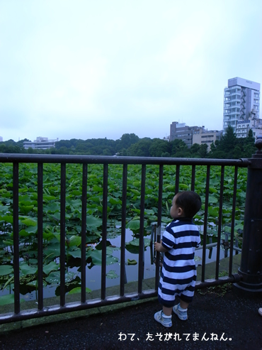 黄昏
