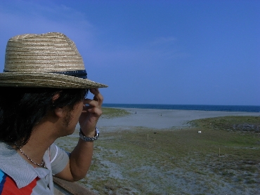 海