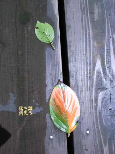 左様ならば、ごきげんよう。<br />
