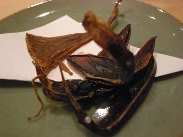 錦