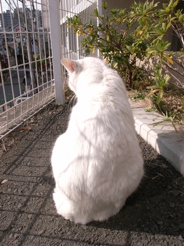 お正月