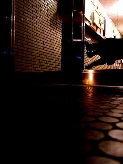 20100903