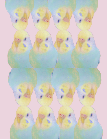 _r1_c1.jpg